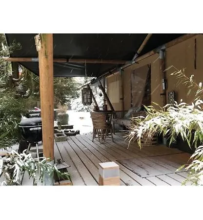 Loes Guest house *