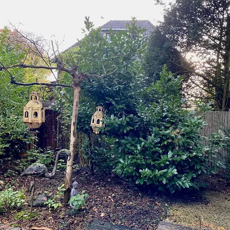 Loes * Laren (North Holland)