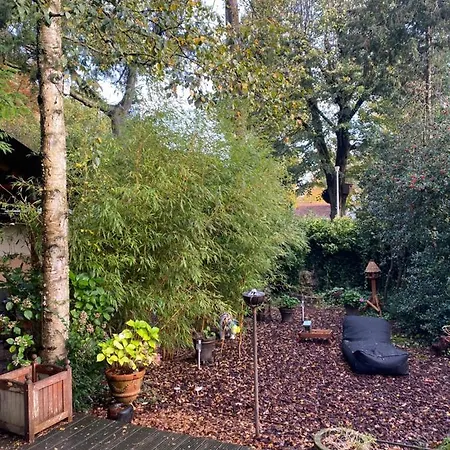 Loes * Laren (North Holland)
