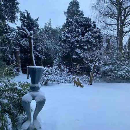 Loes * Laren (North Holland)